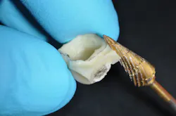 Fagin Temps02 Fig04 Fagin Temps02 Fig04