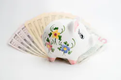 Bls Salary Bls Salary