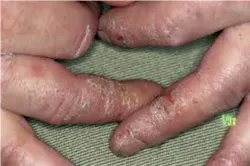 Violantefig3 Violantefig3