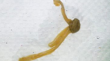 Content Dam Diq Online Articles 2018 01 Troubleshooter Water Line 1