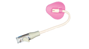 Content Dam Diq Online Articles 2018 07 Pink Petal Diqthumb