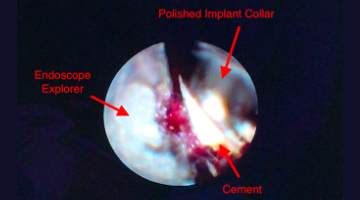Content Dam Diq Online Articles 2018 09 Fortune Wedpnae Diqthumb