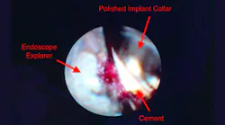 Content Dam Diq Online Articles 2018 09 Fortune Wedpnae Diqthumb Content Dam Diq Online Articles 2018 09 Fortune Wedpnae Diqthumb