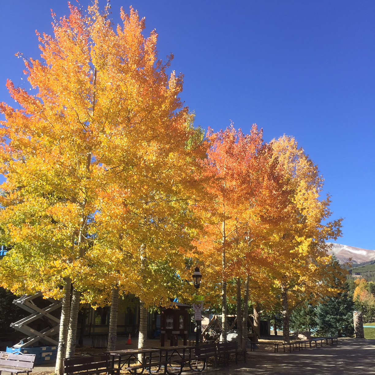 Dad Ed Note Photo 5db0b3e4a4f9f