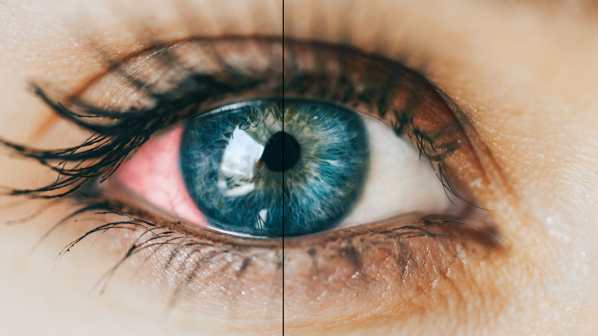 2009 De Cwin P04 5f3aba2f53e0a