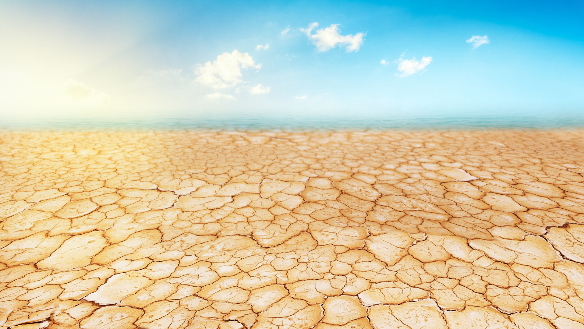 Dreamstime Xxl 23367922 jpg 5f467e88c031c