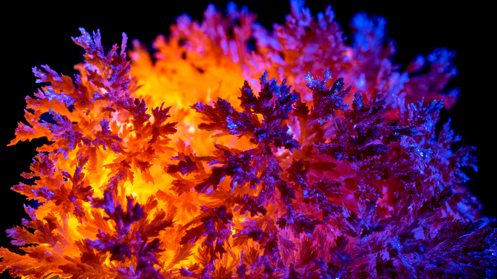 Crystals of carbamide, also known as urea. Carbamide peroxide is composed of equal parts of carbamide and hydrogen peroxide.