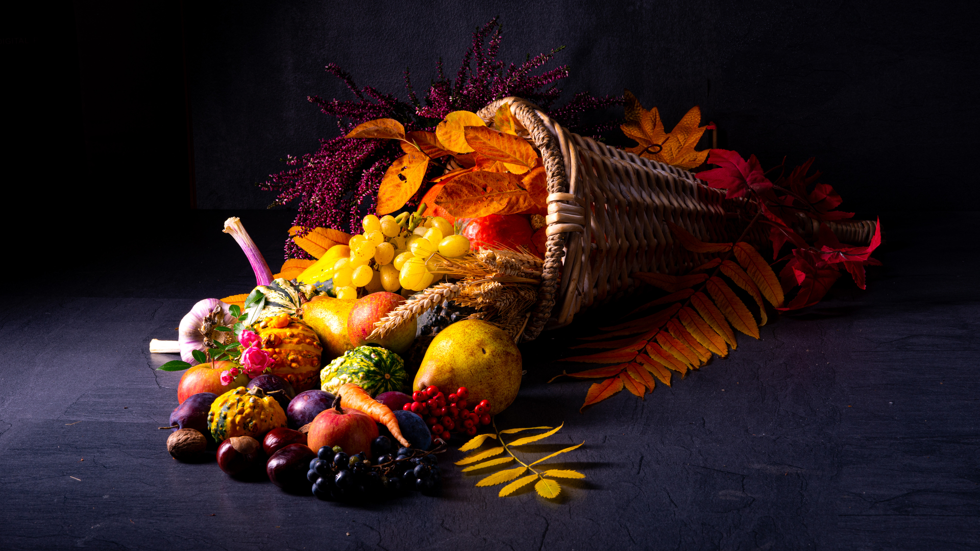 Dreamstime M 164038962 5fb56de6416ba