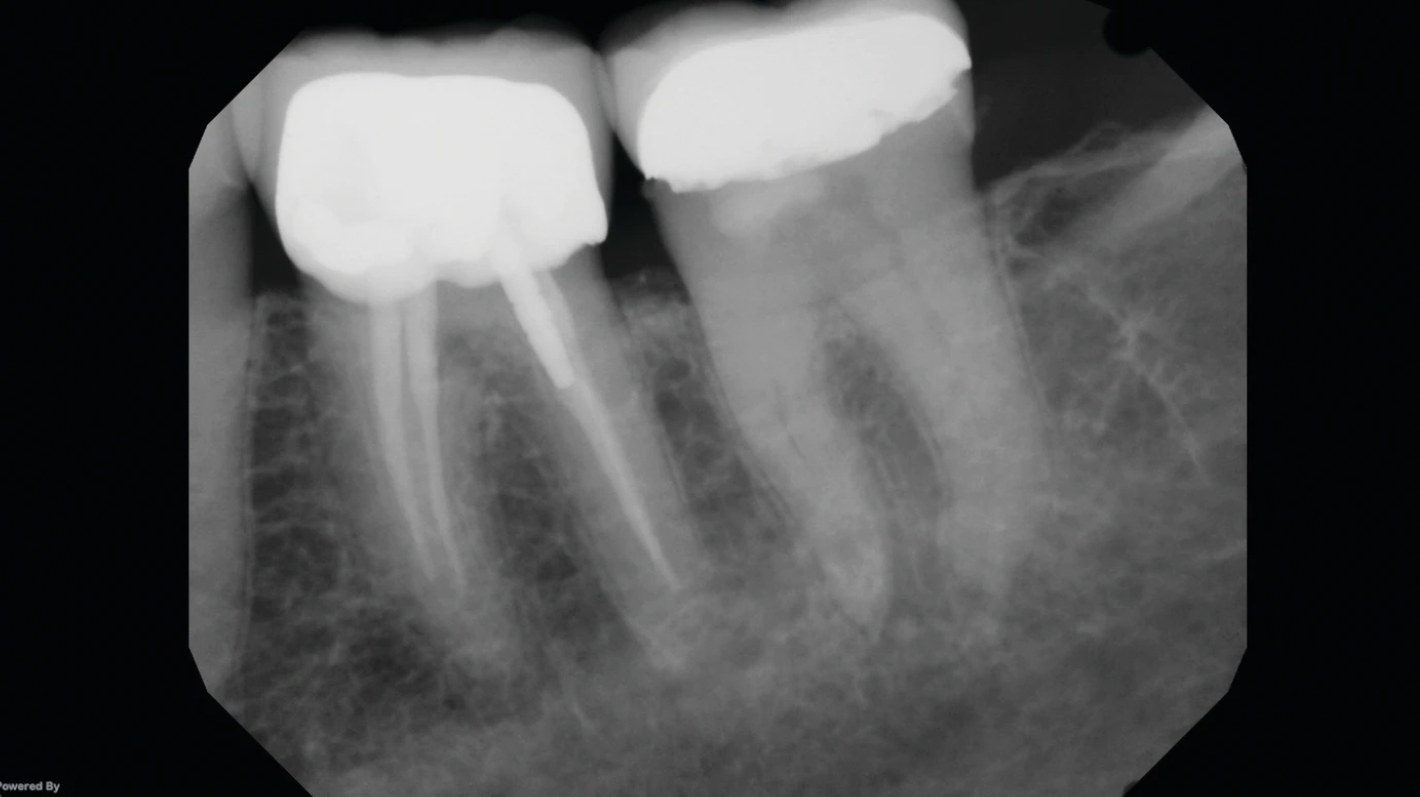 Screen Shot 2021 01 26 At 9 16 08 Am