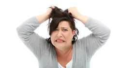 Dreamstime Xxl 25549391 60492e9cc6186 Dreamstime Xxl 25549391 60492e9cc6186