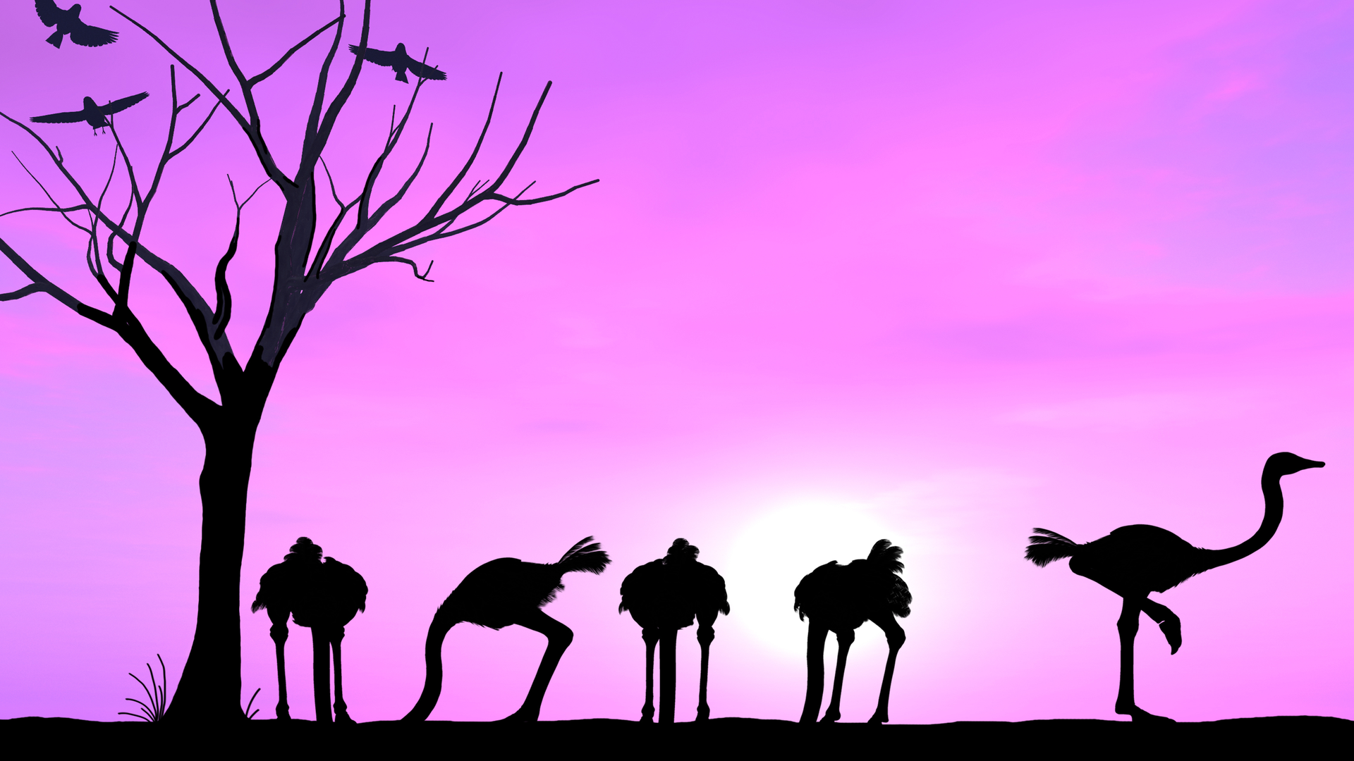 Dreamstime Xxl 56860714 62f2cdd2bfefa