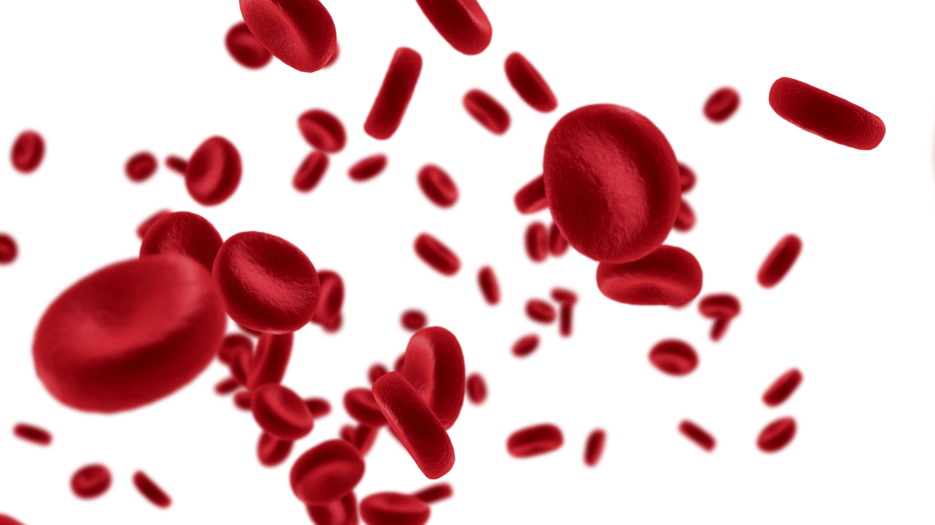 Dreamstime Xl 87719409 636d62e8745e7