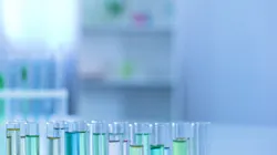 Dreamstime Xxl 134826095 6410c5d963695 Dreamstime Xxl 134826095 6410c5d963695