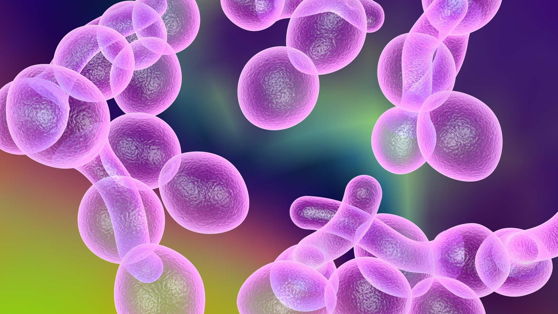 Dreamstime Xxl 78992631 643eb823613f2