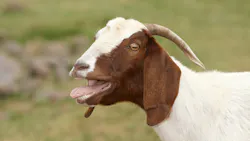 This office manager is tired of the dentist using her as the scapegoat when mistakes are made. This office manager is tired of the dentist using her as the scapegoat when mistakes are made.