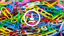 Download this free form and customize as needed. Download this free form and customize as needed.