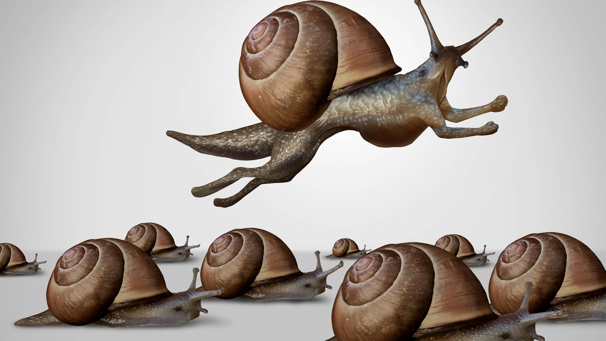 Dental hygienists need to take bold steps in their careers.