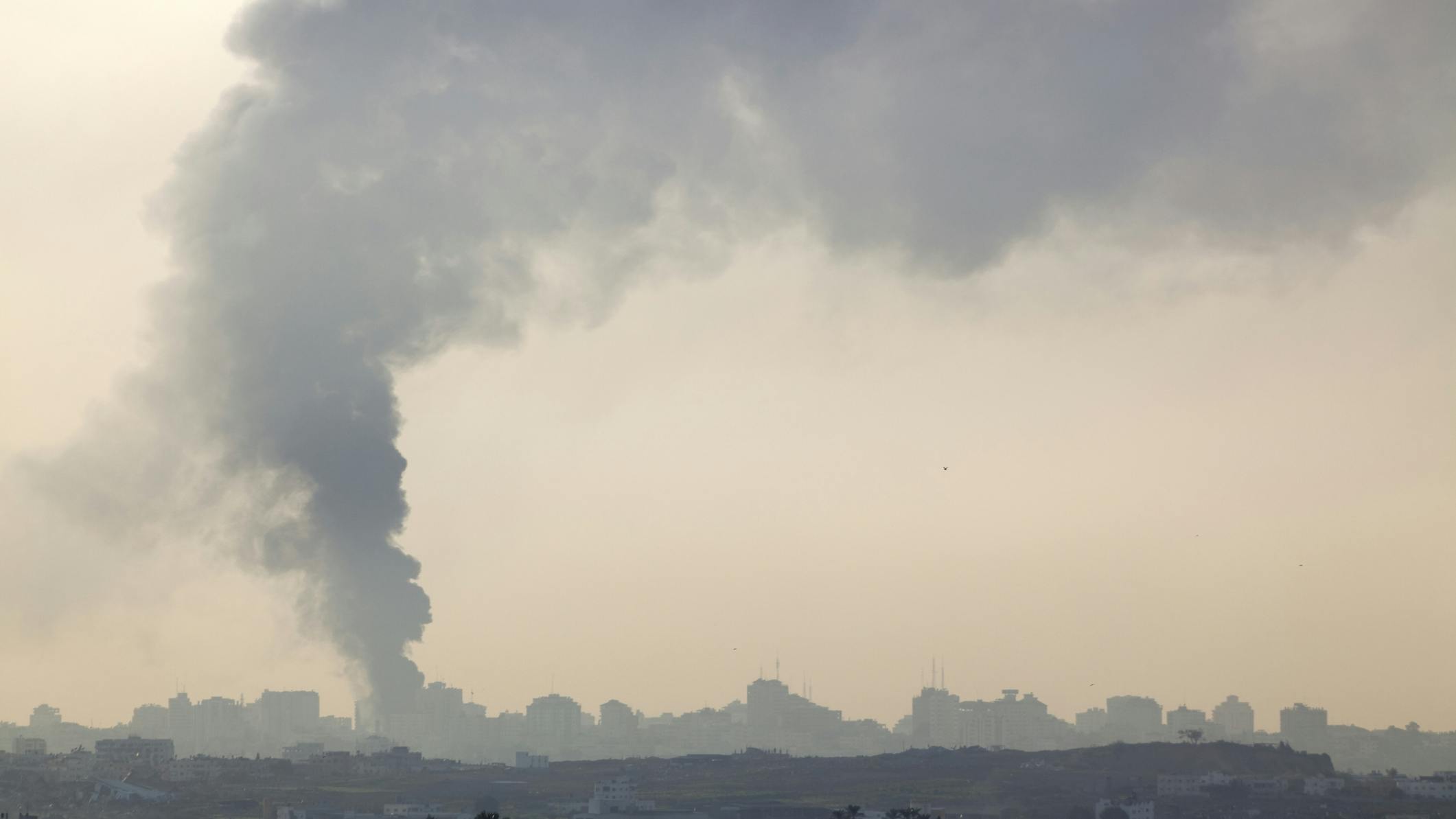 One dentist recently set up a tent to offer dental care.