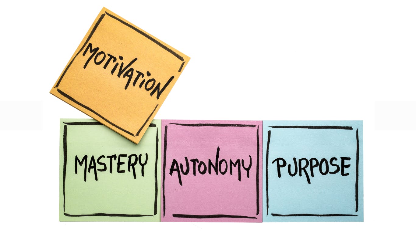 666afc61bda2e688f46f7d06 Website Thumbnail