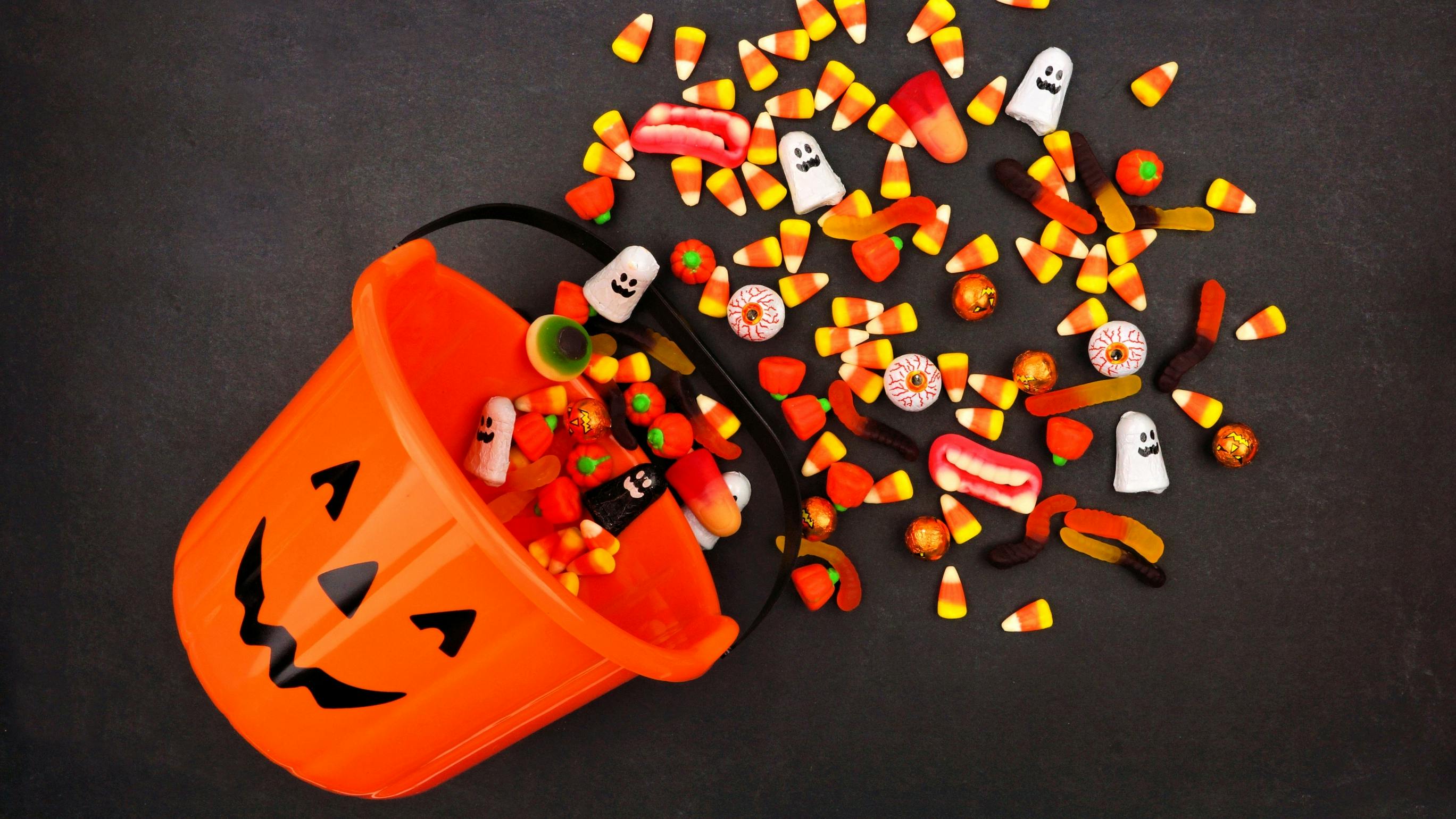 dreamstime_l_125636290