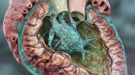 681a2401933024eac0df0b24 Screenshot 20250506 At 9