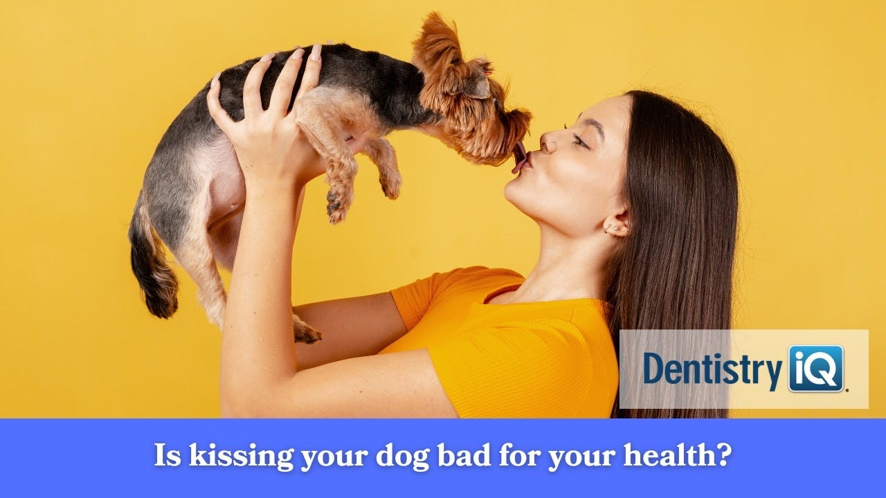 Is kissing your dog bad for your health?
