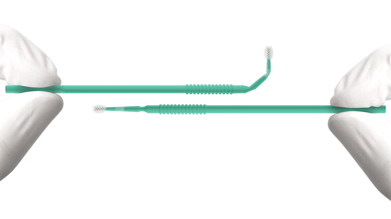 zerfolx_image_1280x720