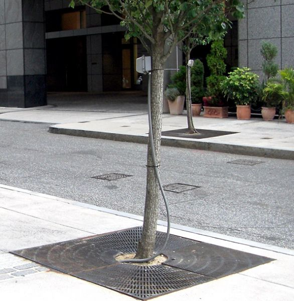 Ecmweb Com Sites Ecmweb com Files Uploads 2014 01 Nec Violations Small Tree