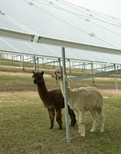 Ecmweb Com Sites Ecmweb com Files Uploads 2014 04 Gannett Fleming Pv Array Ecmweb Com Sites Ecmweb com Files Uploads 2014 04 Gannett Fleming Pv Array