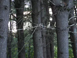 10-17-17WWHpromo 10-17-17WWHpromo