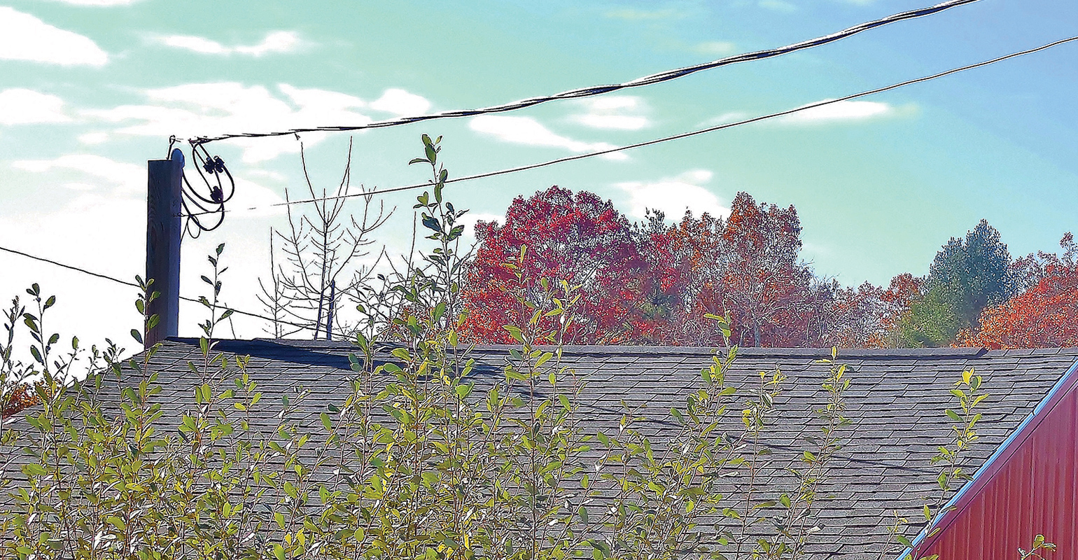 NEC - Practically Speaking