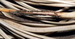 damaged cable wire damaged cable wire