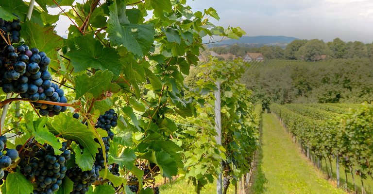 The Top 10 Highest-Paying Cities for Electricians: 2018 | EC&M