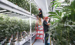Ecmweb Com Sites Ecmweb com Files Horticulture Lighting 0419 3 Ecmweb Com Sites Ecmweb com Files Horticulture Lighting 0419 3