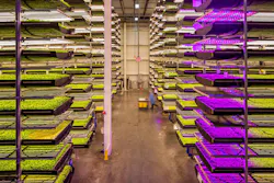 Ecmweb Com Sites Ecmweb com Files Horticulture Lighting 0419 4 Ecmweb Com Sites Ecmweb com Files Horticulture Lighting 0419 4