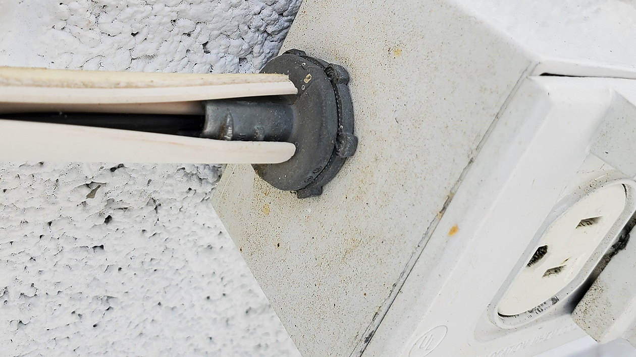 Nec Illustrated Catastrophes 0720 Pr 5f19a51633352