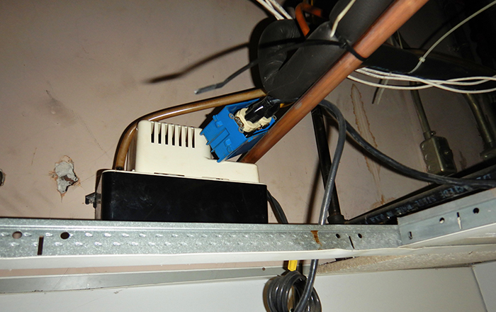 Promo Image Illustrated Catastrophes December 2020 5fbc25a817027