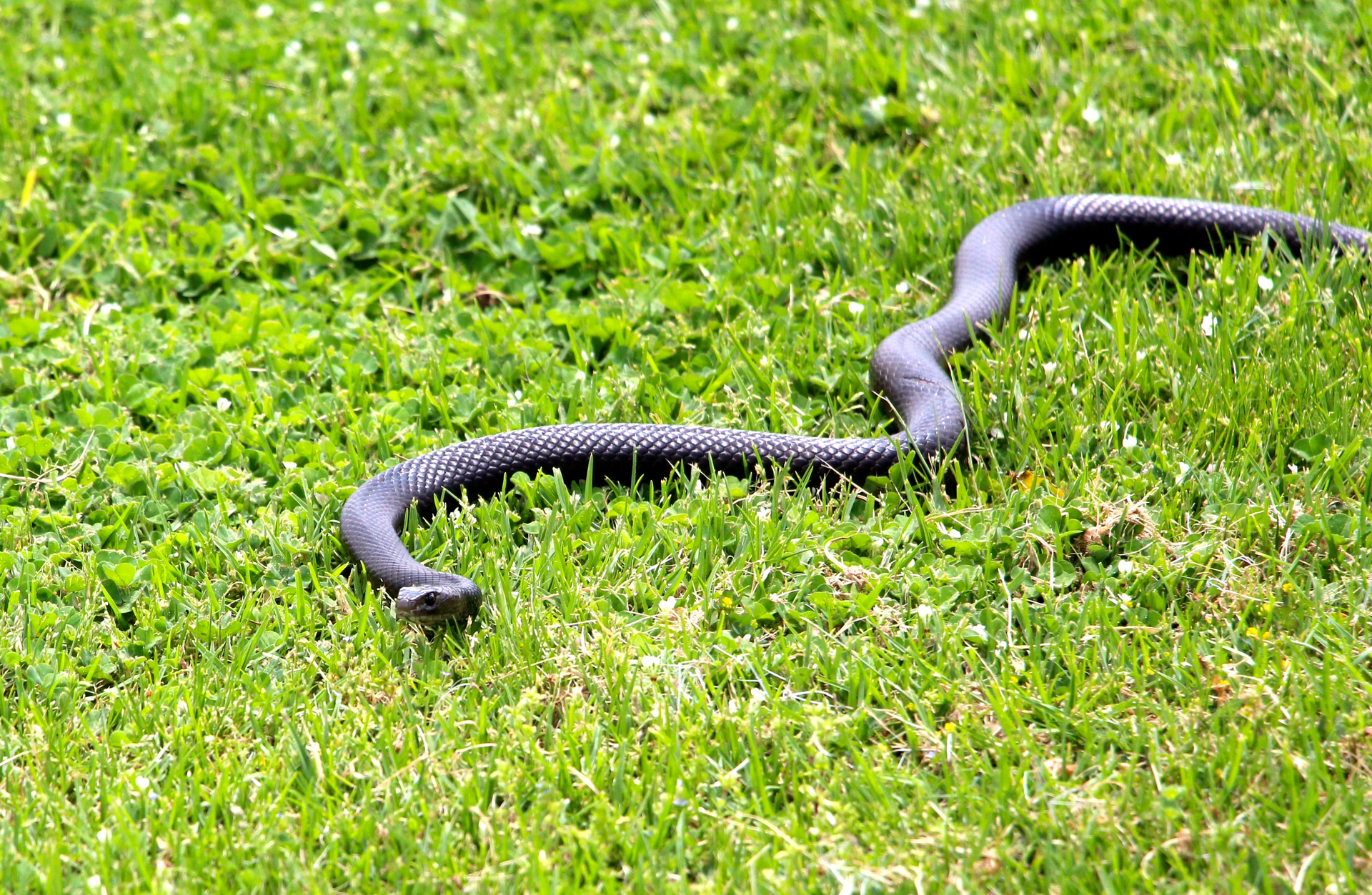 Id 61446761 Neil Denize Dreamstime com 60a6d97d7e4c5