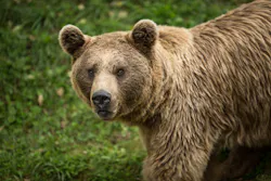 Id 86662264 Lightpoet Dreamstime com 609995317e6eb Id 86662264 Lightpoet Dreamstime com 609995317e6eb