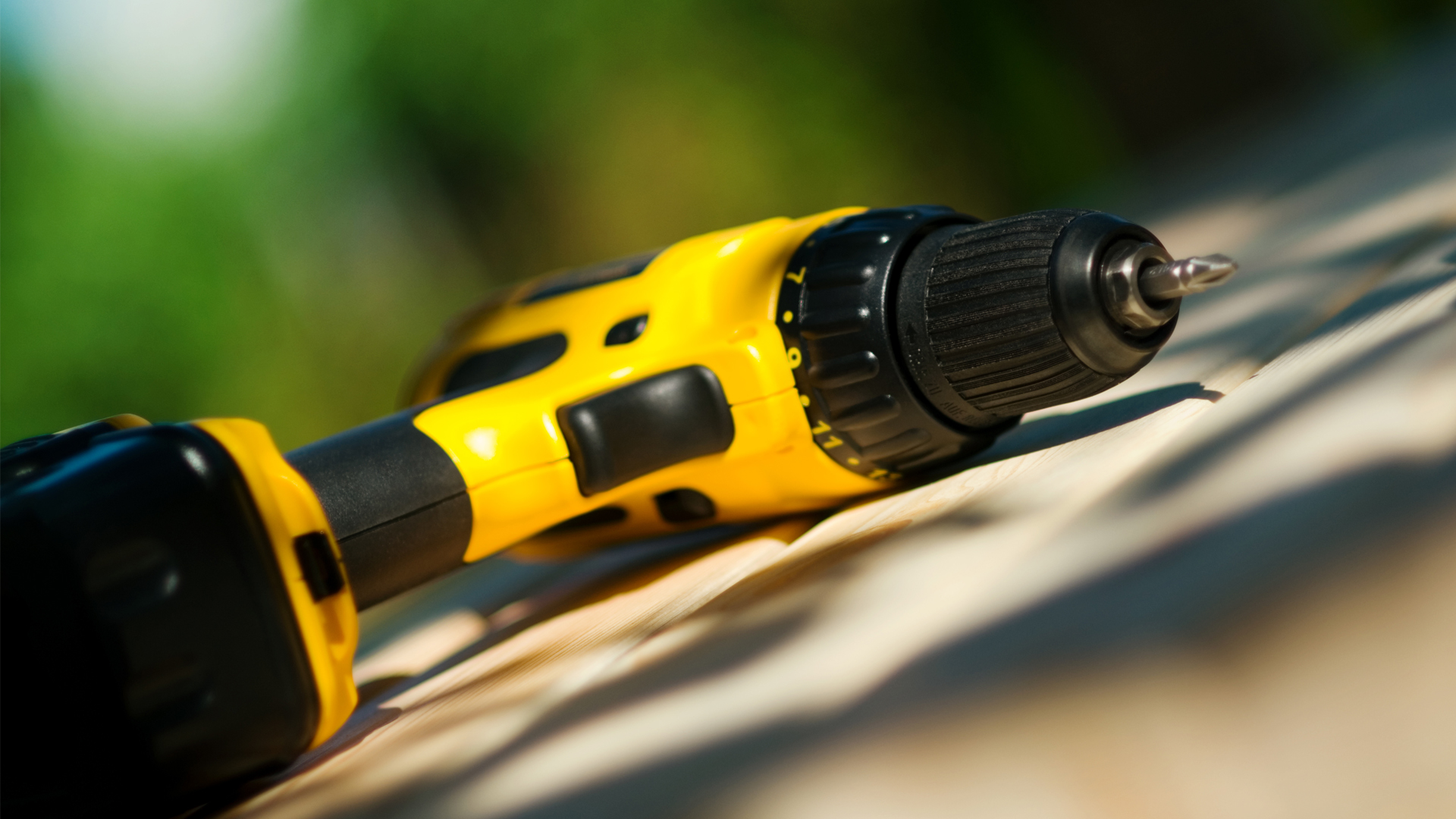 Photo 3041674 Sasha T Dreamstime 61e84a8da7c14