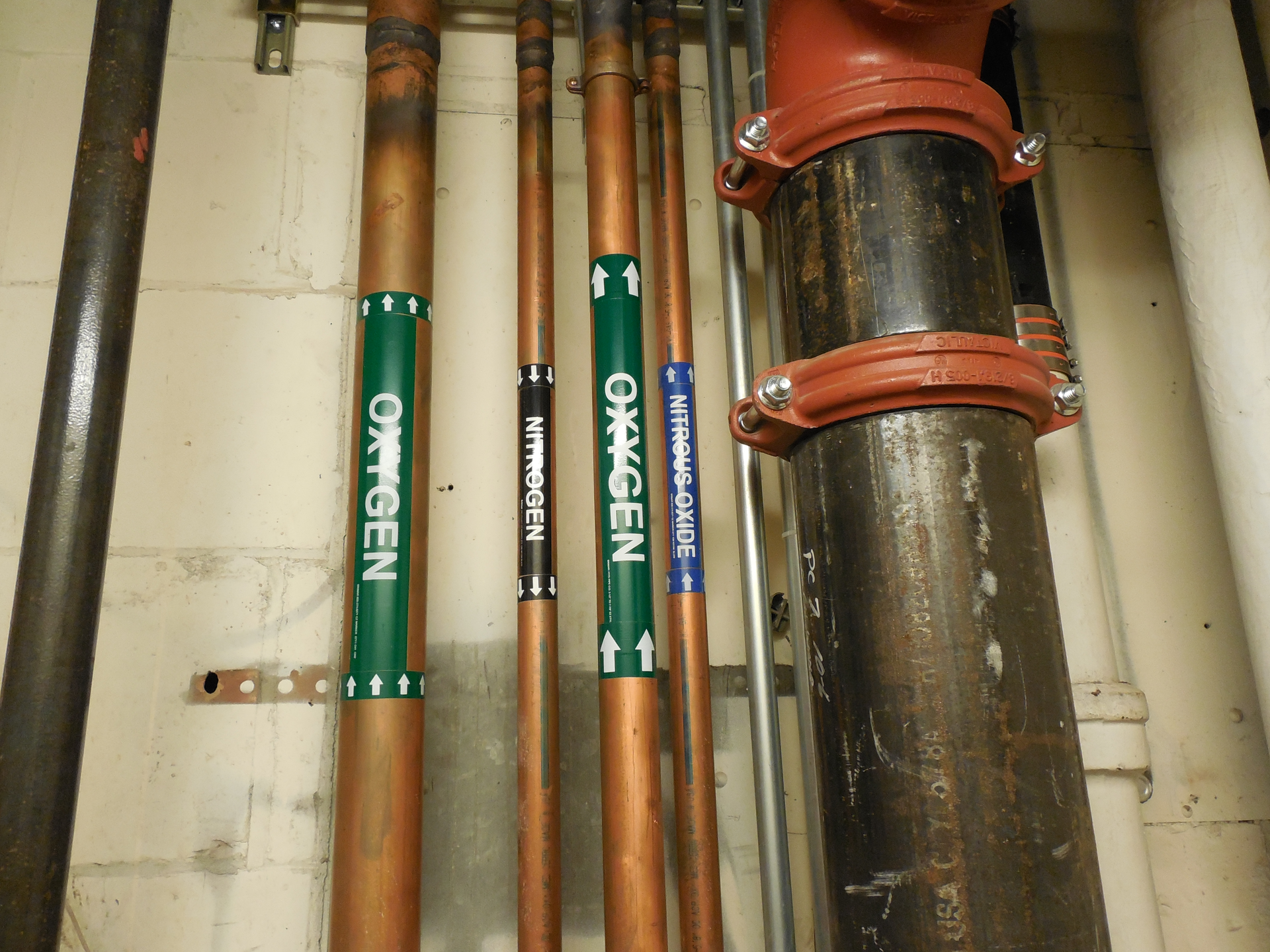 Practically Speaking 61e866369e8f7