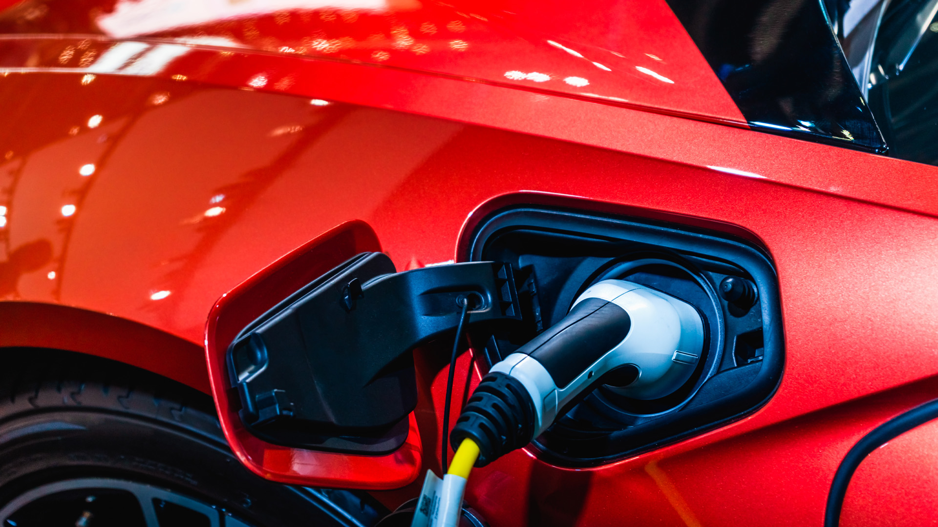 Photo 157283118 Ezthaiphoto Dreamstime 620fc03f36a78