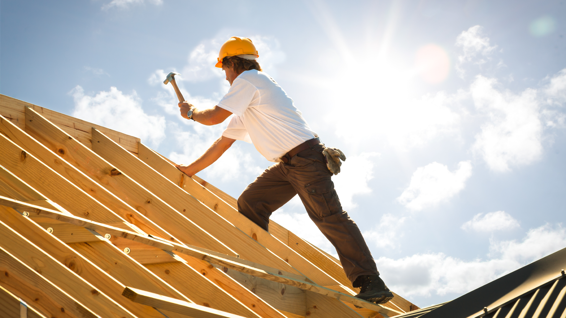 Photo 87684009 Sculpies Dreamstime 6303a764db121