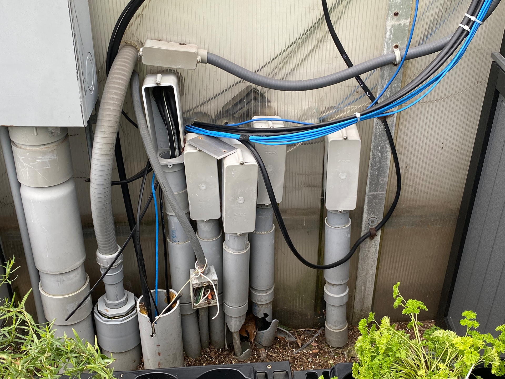 Illustrated Catastrophe 1 63dbf6d45ec9f