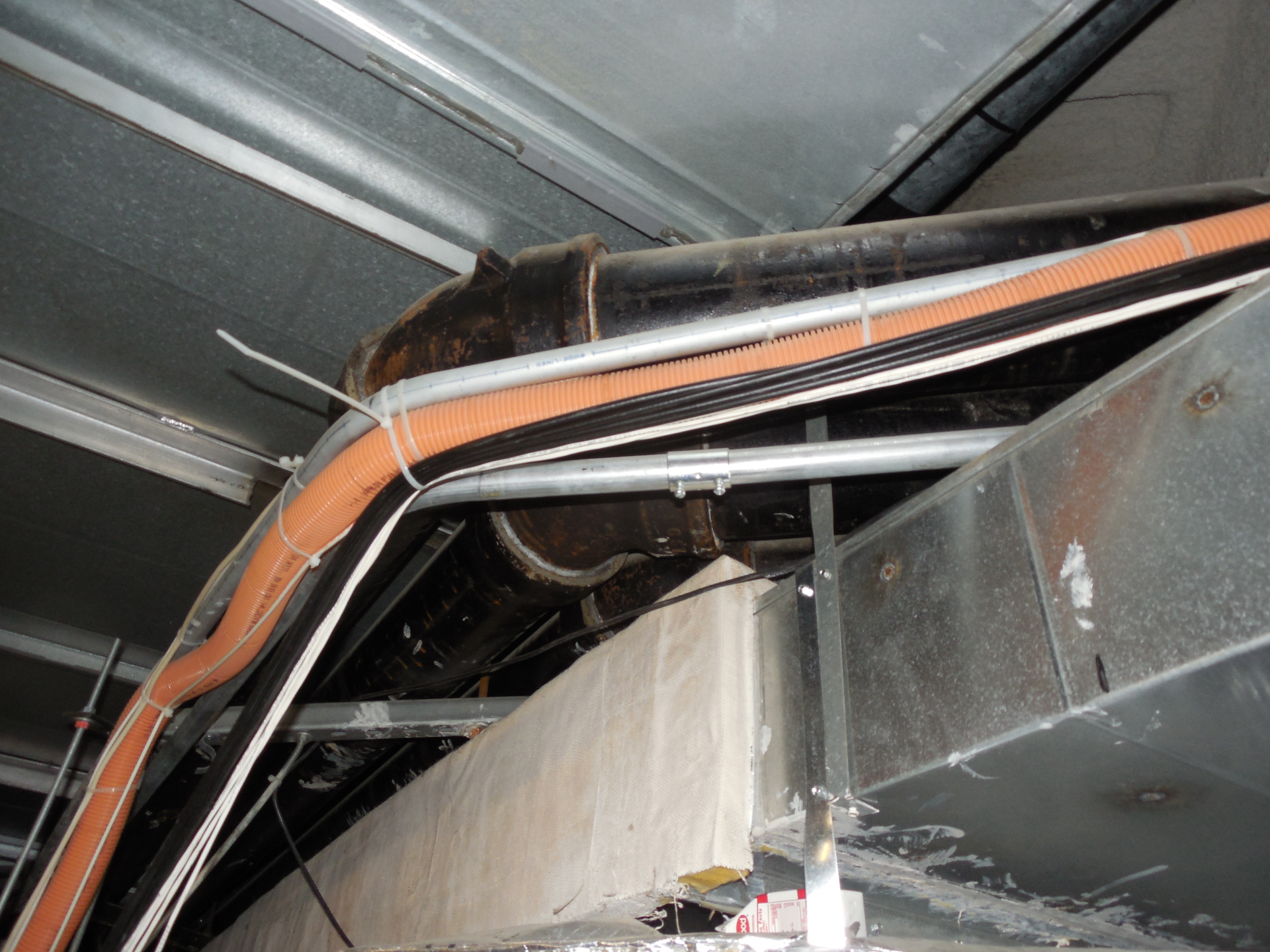 June Wwh 64764b727274e