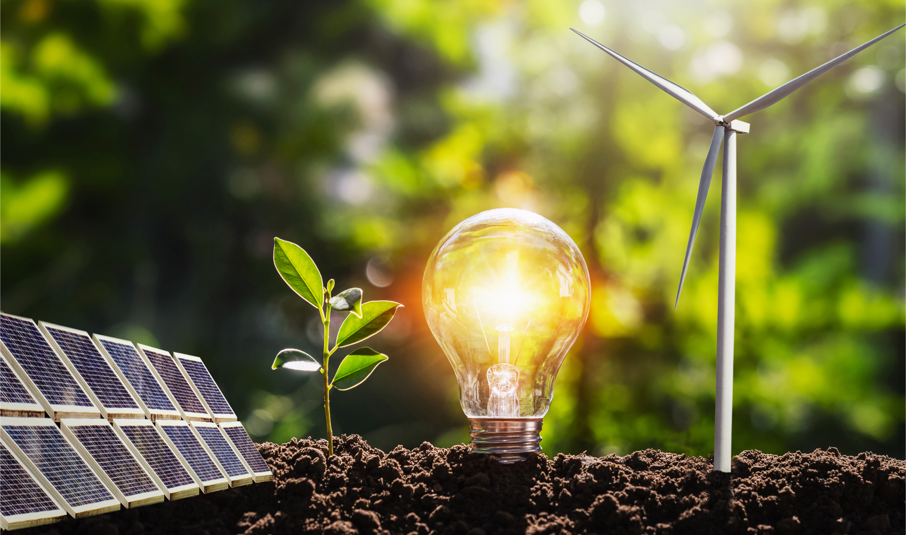 Photo 166171675 Design Lovelyday12 Dreamstime 653a877790b8a