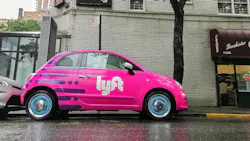 65564573a12b59001ecafbb3 Photo 94349889 Roman Tiraspolsky Dreamstime 65564573a12b59001ecafbb3 Photo 94349889 Roman Tiraspolsky Dreamstime