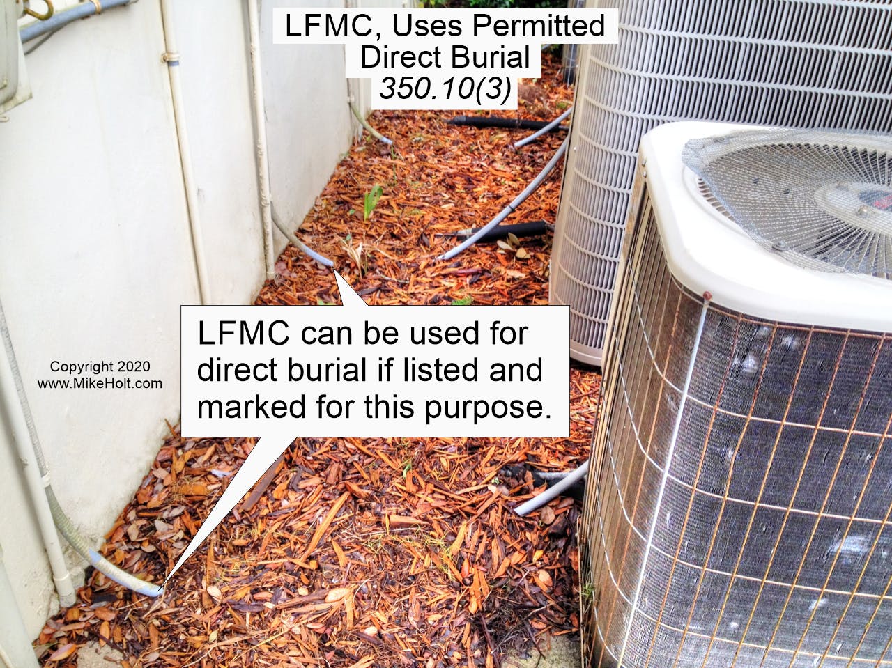 65958854aa8045001ee7762a 350