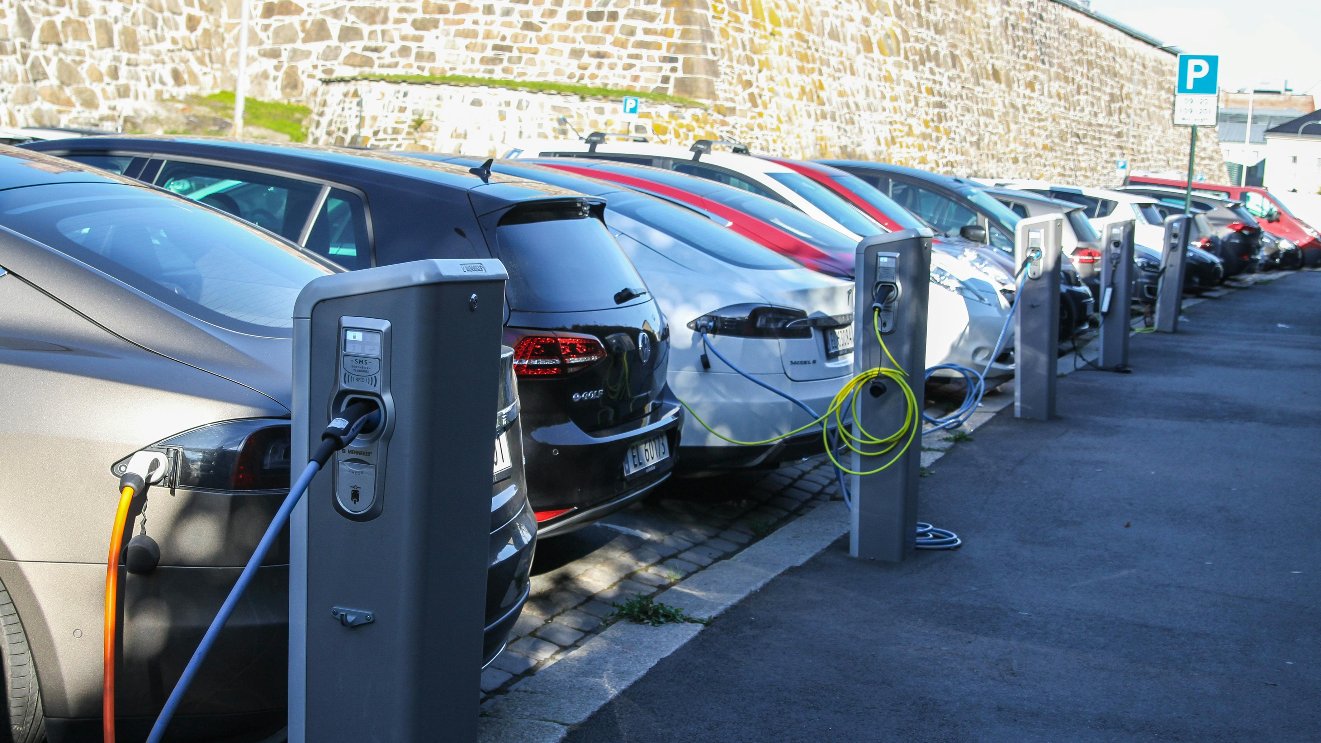 65e1f5c1709a66001eb9f975 Dreamstime Xxl 113405046