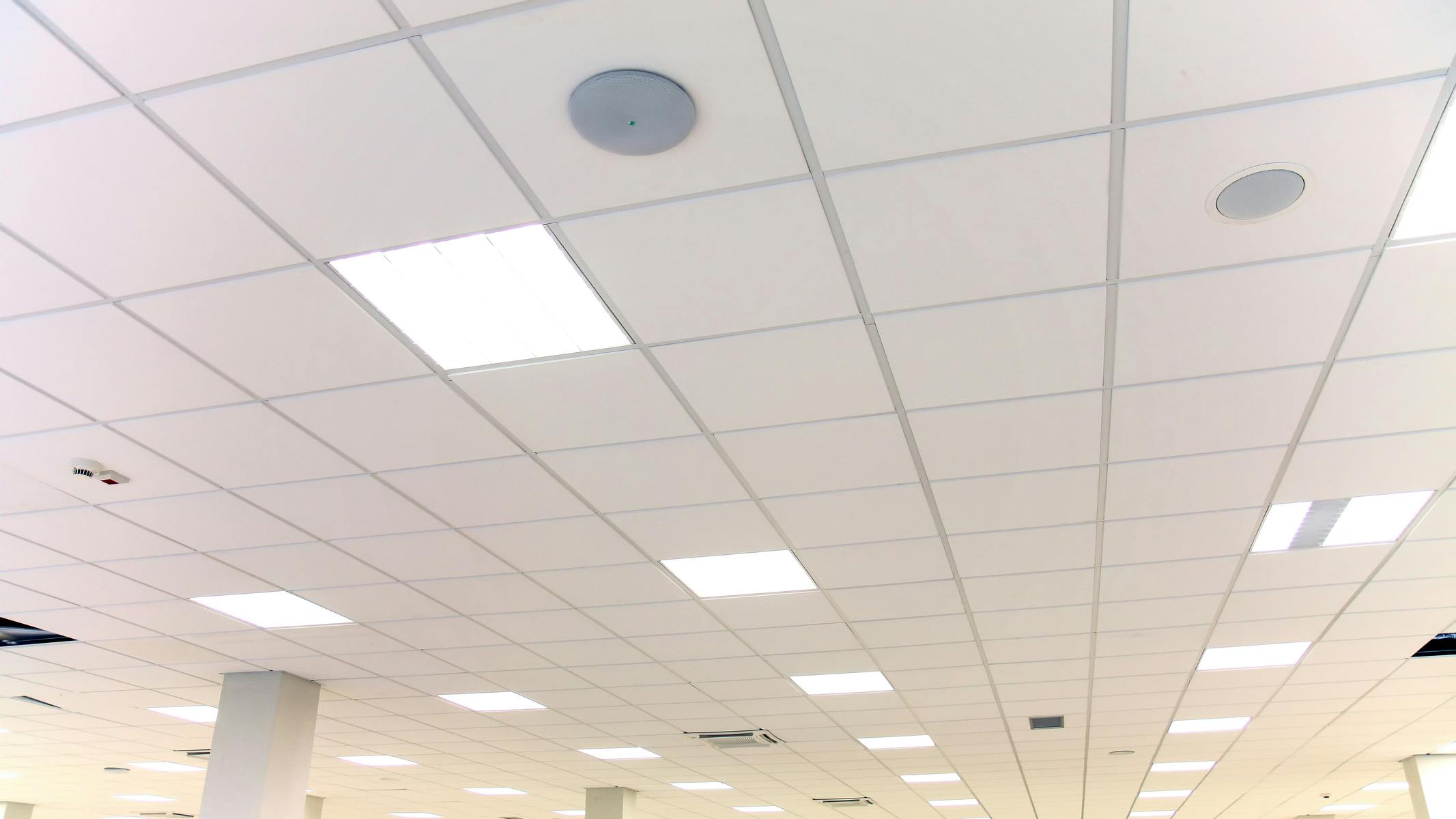 65e73832128135001eda33c2 Dreamstime M 136836480